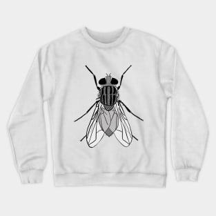 Fly Crewneck Sweatshirt